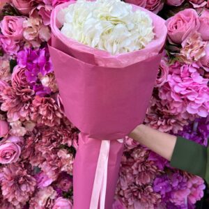 Hortensia incantatoare